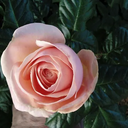 La Fonte Di San Girio Landhaus