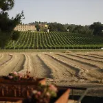 La Fonte Di San Girio Potenza Picena