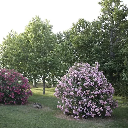 Casa di campagna La Fonte Di San Girio Potenza Picena