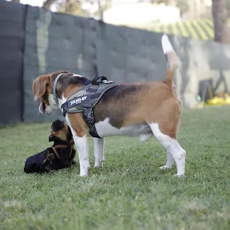 La Fonte Di San Girio